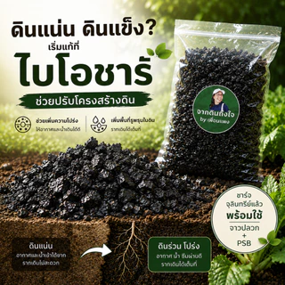 ไบโอชาร์ปรับโครงสร้างดิน พร้อมใช้ ชาร์จจุลินทรีย์จาวปลวก + จุลินทรีย์สังเคราะห์แสง (PSB) ช่วยให้ดินโปร่ง อุ้มน้ำ