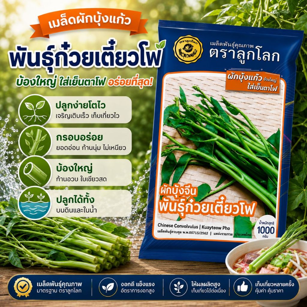 เมล็ดผักบุ้งแก้ว พันธุุ์ก๋วยเตี๋ยวโฟ ตราลูกโลก ขนาด1กก. Water spinach เมล็ดพันธุ์ผักบุ้งแก้ว