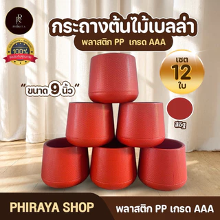 กระถางต้นไม้ เบลล่า มินิมอล 5 7 9 นิ้ว ขายส่งยกโหล พลาสติก PP เกรด AAA