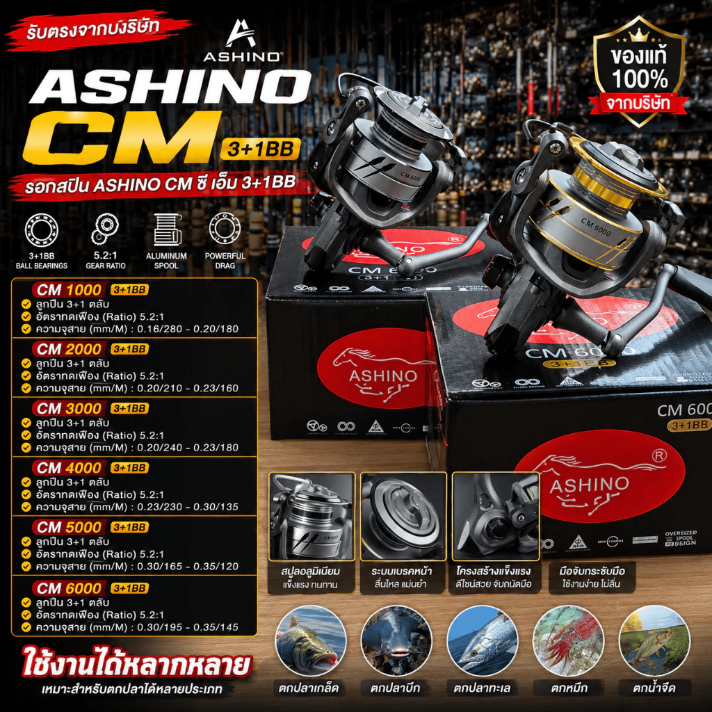 [ รับตรงจากบริษัท ] รอกสปิน ASHINO CM 3+1BB รอกตกปลา Spinning Reel เบอร์ 1000/2000/3000/4000/5000/6000