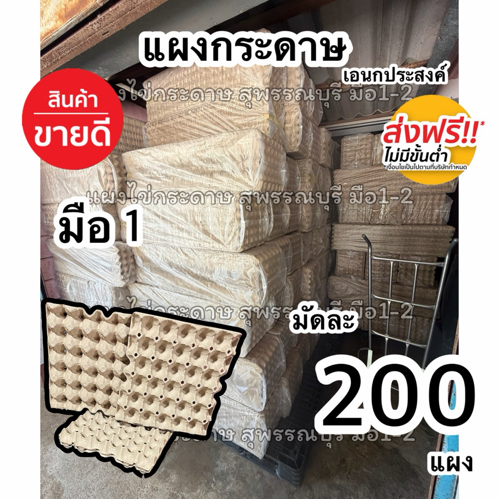 แผงไข่กระดาษ มือ1 ชุดละ200แผง ส่งด่วน1วันถึง แถมส่งฟรี