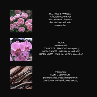 PITCHAYADA FRAGRANCE PERFUME 2 ML (TESTER) สั่งขั้นต่ำ 2 ชิ้น
