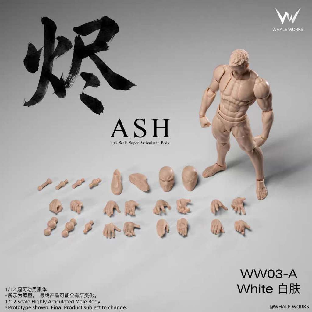 Whale Workshop 1/12 : Male Body Ash  - ww03A
