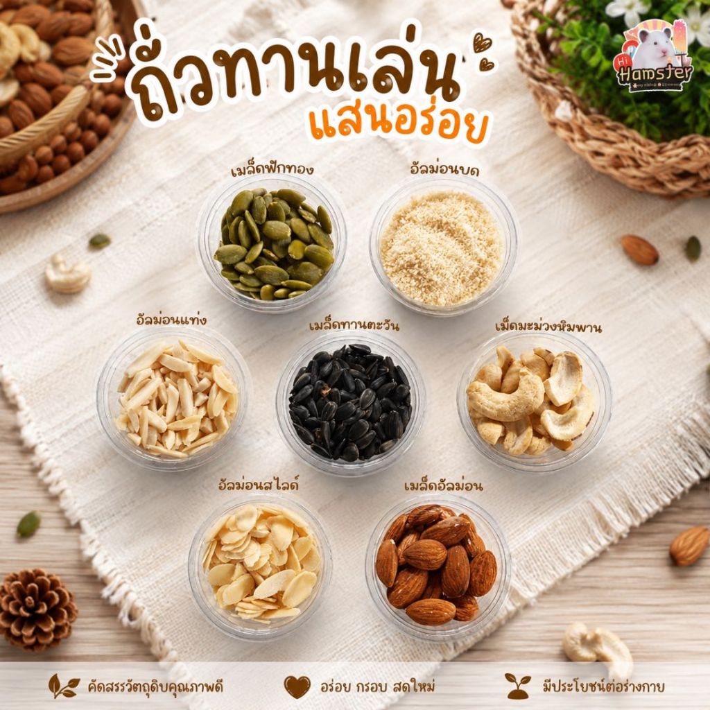 ถั่วทานเล่น อรอ่ยเคี้ยวมัน เมล็ดฟักทอง เมล็ดทานตะวัน อัลมอนด์ สำหรับแฮมเตอร์ ชูการ์ แม่นแคระ แฟนเทล