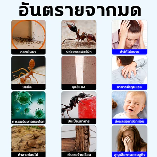สเปรย์ไล่มด กำจัดทางเดินมด 300 มล. ปลอดภัยสำหรับสัตว์เลี้ยง ใช้ได้กับโต๊ะครัวและกรงสัตว์