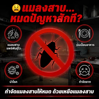 [ แนะนํา]💀MDB ล่อแมลงสาบ 💀ได้ผล100% กำจัดแมลงสาบอย่างถาวร ที่ดักแมลงสาบ กับดักแมลงสาบ ยาฆ่าแมลงสาบ 1คืนฆ่าตายหมด