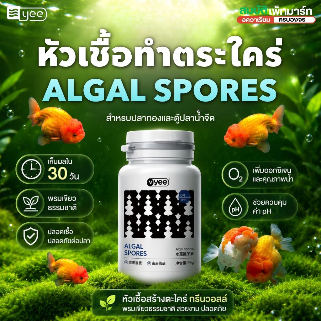 หัวเชื้อสร้างตะไคร่กรีนวอลล์ หัวเชื้อเพาะตะไคร่ YEE ALGAL SPORES สำหรับตู้ปลาทอง ปลาน้ำจืด 95กรัม