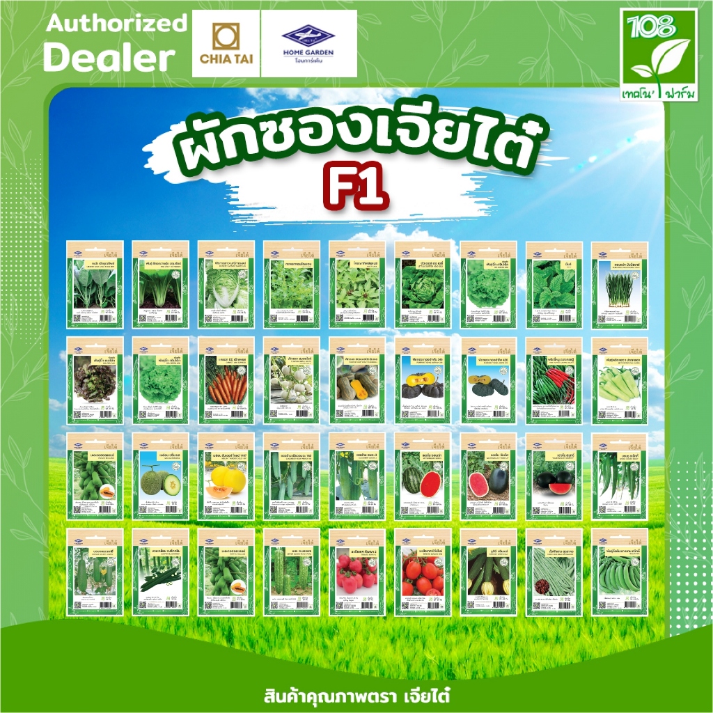 ขายส่ง ยกแพ็ค ผักซองเจียไต๋ (F1) เมล็ดพันธุ์ตราเจียไต๋ ราคาถูกสุด (บรรจุ 1แพ็ค = 10 ซอง)