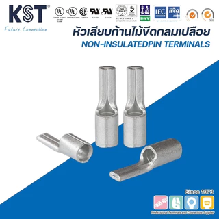 KST หัวเสียบก้านไม้ขีดกลมเปลือย 0.5mm²-6mm² รุ่น PTNB1-PTNB5