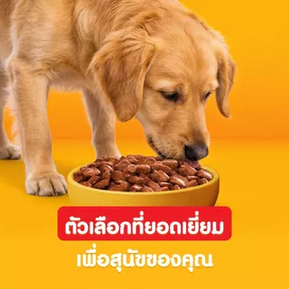 [สุดคุ้ม 120 ซอง] PEDIGREE เพดดิกรี อาหารหมาเปียกแบบซอง สุนัขโตและลูกสุนัข สูตรเกรวี่/เนื้อสัตว์บด เลือกรสชาติได้ 130ก.