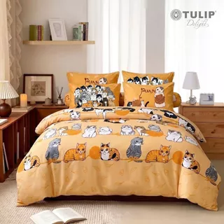 TULIP Delight ทูนหัวของบ่าว DLC079 ลิขสิทธิ์แท้ทูนหัวของบ่าว ชุดผ้าปูที่นอน ผ้าห่ม ผ้านวม ลายแมว