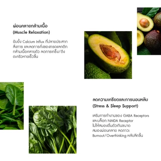 [ 1DayVit ] Magnesium Balance - แมกนีเซียม บาลานซ์