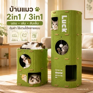 😺บ้านแมว คอนโดแมว บ้านมีรู 2ชั้น 3ชั้น คอนโดแมวทรงกระบอกดีไซน์ญี่ปุ่น แข็งแรงทนทาน สามารถปีนได้