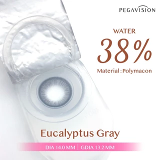 PEGAVISION คอนแทคเลนส์สี รายเดือน รุ่น KAORI สี Eucalyptus Gray (2 เลนส์/กล่อง)