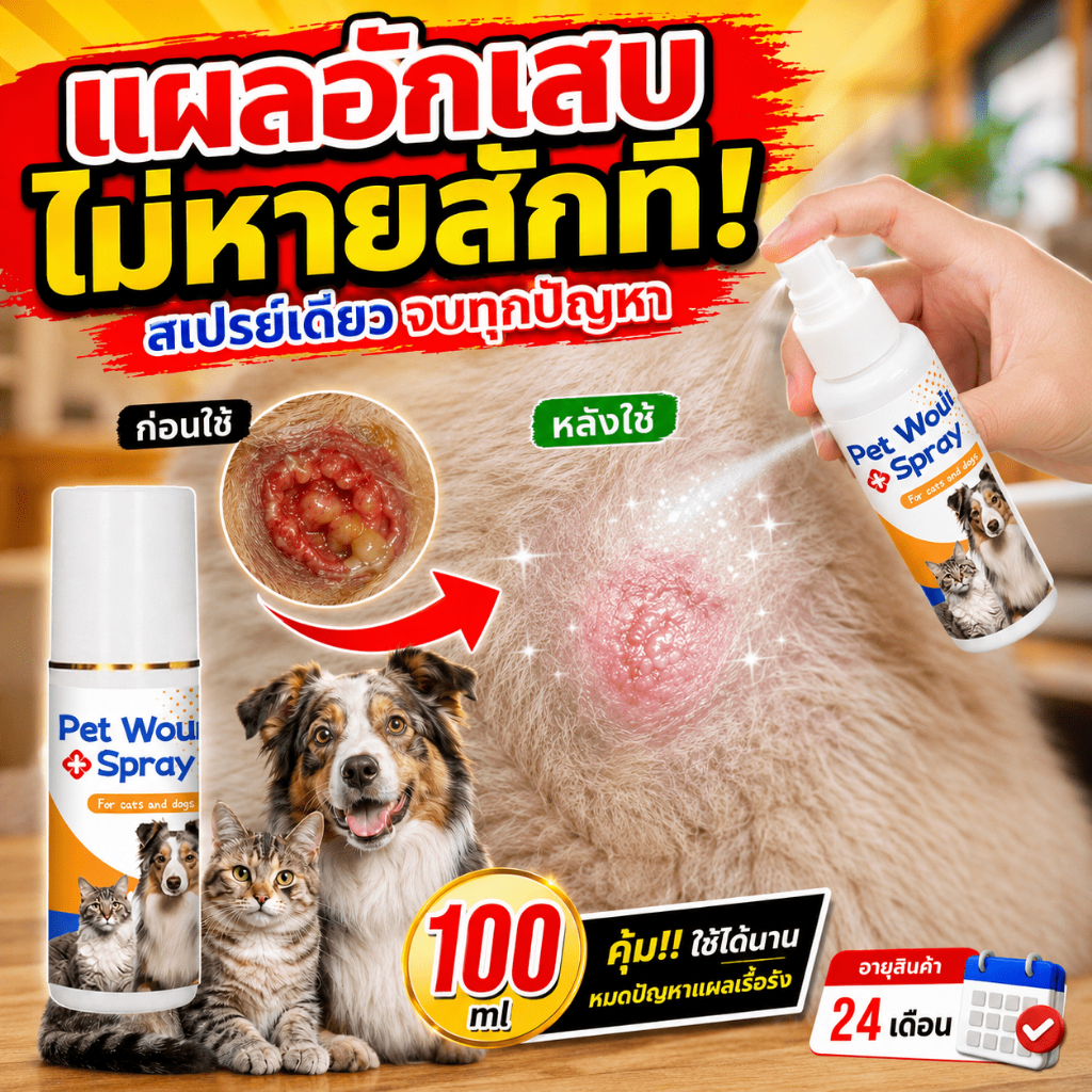 🐶รักษาให้หายทันที🐱 LP สเปรย์พ่นแผล  สเปรย์นาโน สเปรย์สมานแผลสำหรับสัตว์เลี้ยง ฆ่าเชื้อแบคทีเรีย สัตว์เลี้ยง / สุนัข