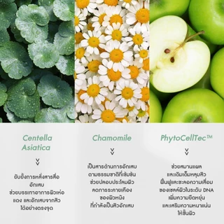 แพ็คคู่ : ดูแลสิว รอยสิว ซินซี + เซลเทลล่าแอค มีสารสกัดซิงค์ อะมิโนเอซิด ส้มเลือด ส้มซัทสึมะ ใบบัวบก สเต็มเซลล์แอปเปิ้ล