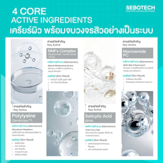 Y8 เซรั่มผิวไข่ปอก SEBOTECH ลดสิว เคลียร์สิวอุดตัน สิวเกลี้ยง