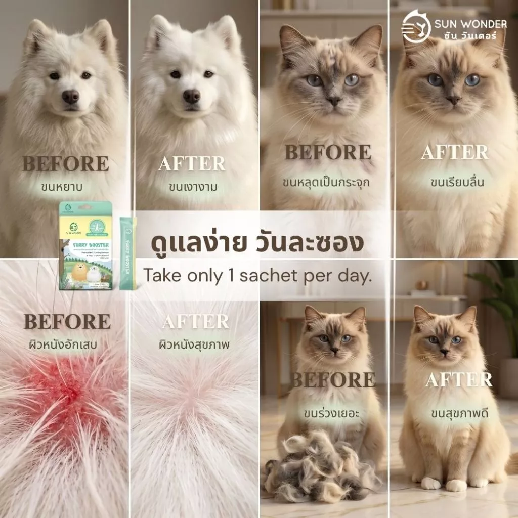(1 กล่อง/12 ซอง) SUN WONDER FURRY BOOSTER อาหารเสริมบำรุงขนและผิวหนังสำหรับสัตว์เลี้ยง thumbnail 5