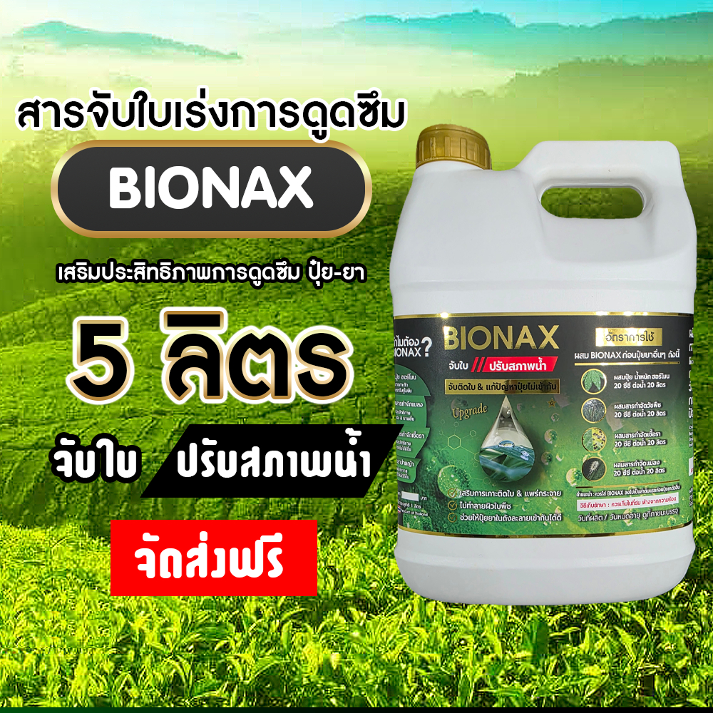 Bionax สารจับใบเร่งการดูดซึม สารเสริมประสิทธิภาพการดูดซึม สูตรเข้มข้น  5 ลิตร (B-BIG)