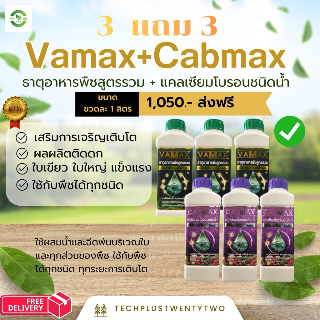 ชุดสุดคุ้ม ซื้อ 3 แถม 3 (ปุ๋ยธาตุรวม VAMAX + CABMAX แคลเซียมโบรอน)ปลอดภัยขึ้นทะเบียนจากกรมวิชาการเกษตร (V3+C3)