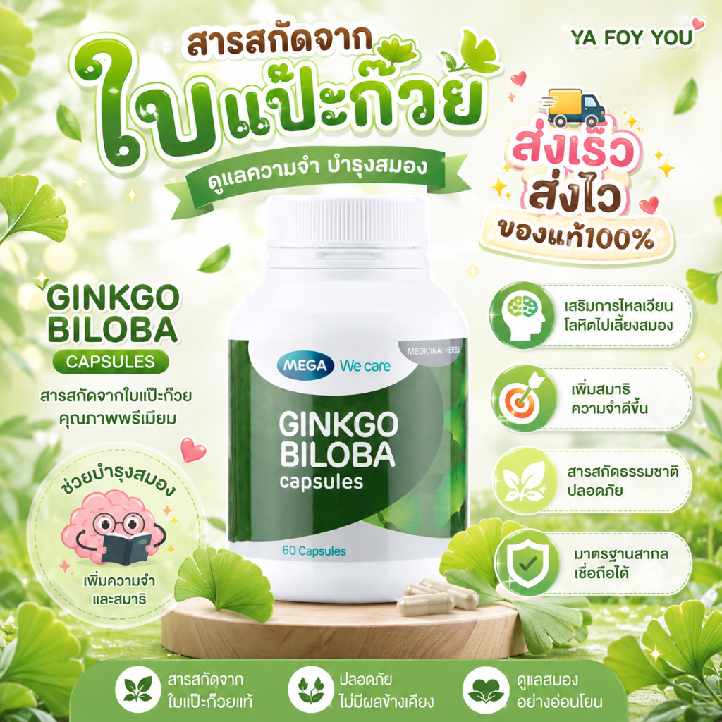 MEGA GINKGO BILOBA 60 CAP.