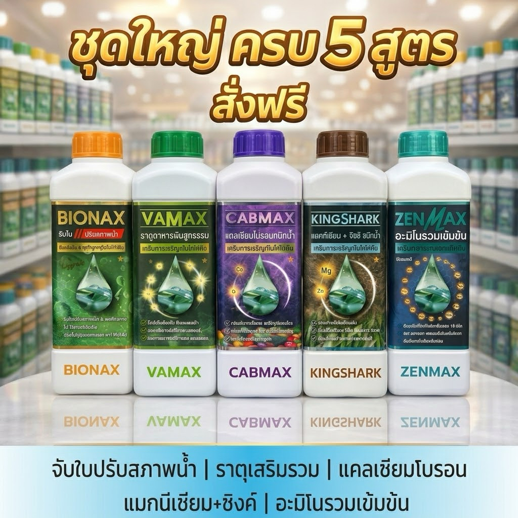 (C1+V1+B1+Z1+K1 ครบ 5 สูตร จับใบปรับสภาพน้ำ ,ธาตุเสริมรวม,แคลเซียมโบรอน,แมกนีเซียม+ซิงค์,อะมิโนรวมเข