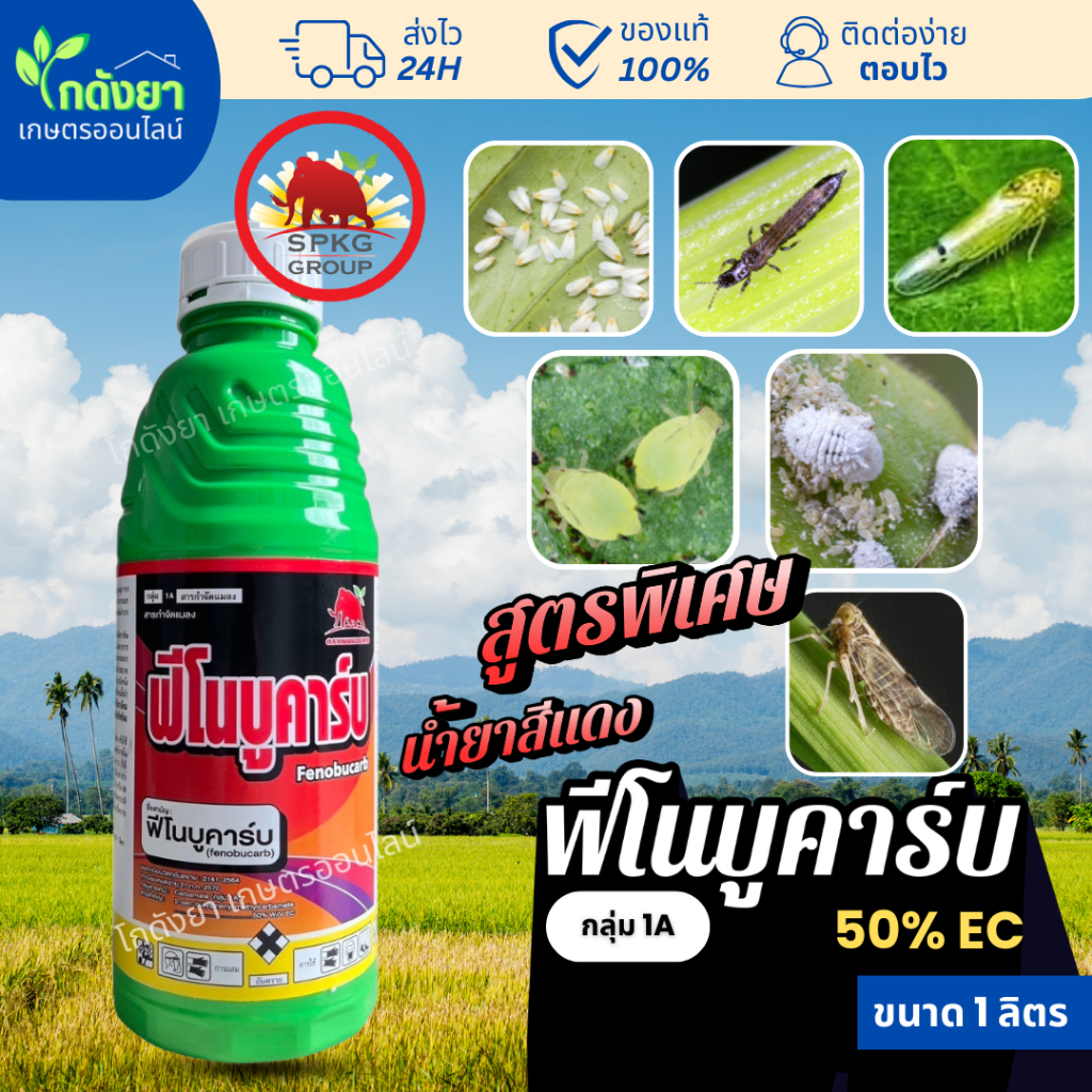[น๊อคเพลี้ย ด้วง] ฟีโนบูคาร์บ 1ลิตร แมมมอธแดง ยาน๊อคเร็ว ร่วงไว