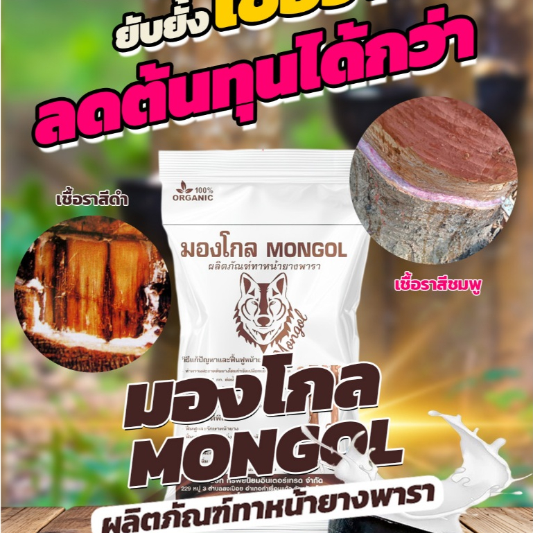 มองโกลผลิตภัณฑ์บำรุงหน้ายางพารา