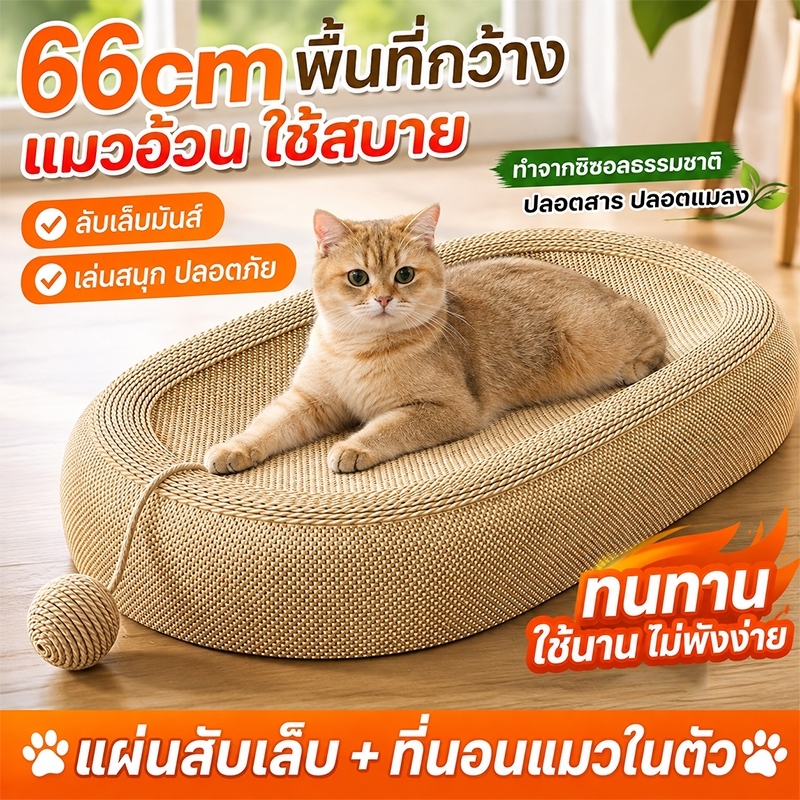 😻ใช้10ปียังดุเหมือนใหม่🐱ที่ลับเล็บแมว แผ่นลับเล็บแมว อ่างลับเล็บ 2in1  ป่านศรนารายณ์