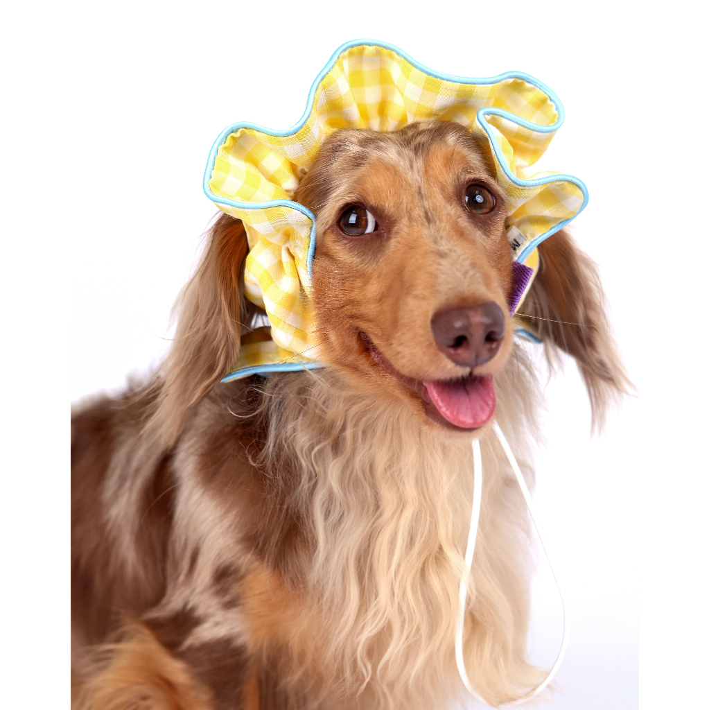 CLAWSET غطاء أذن للحيوانات Comfy Headband — صورة 5