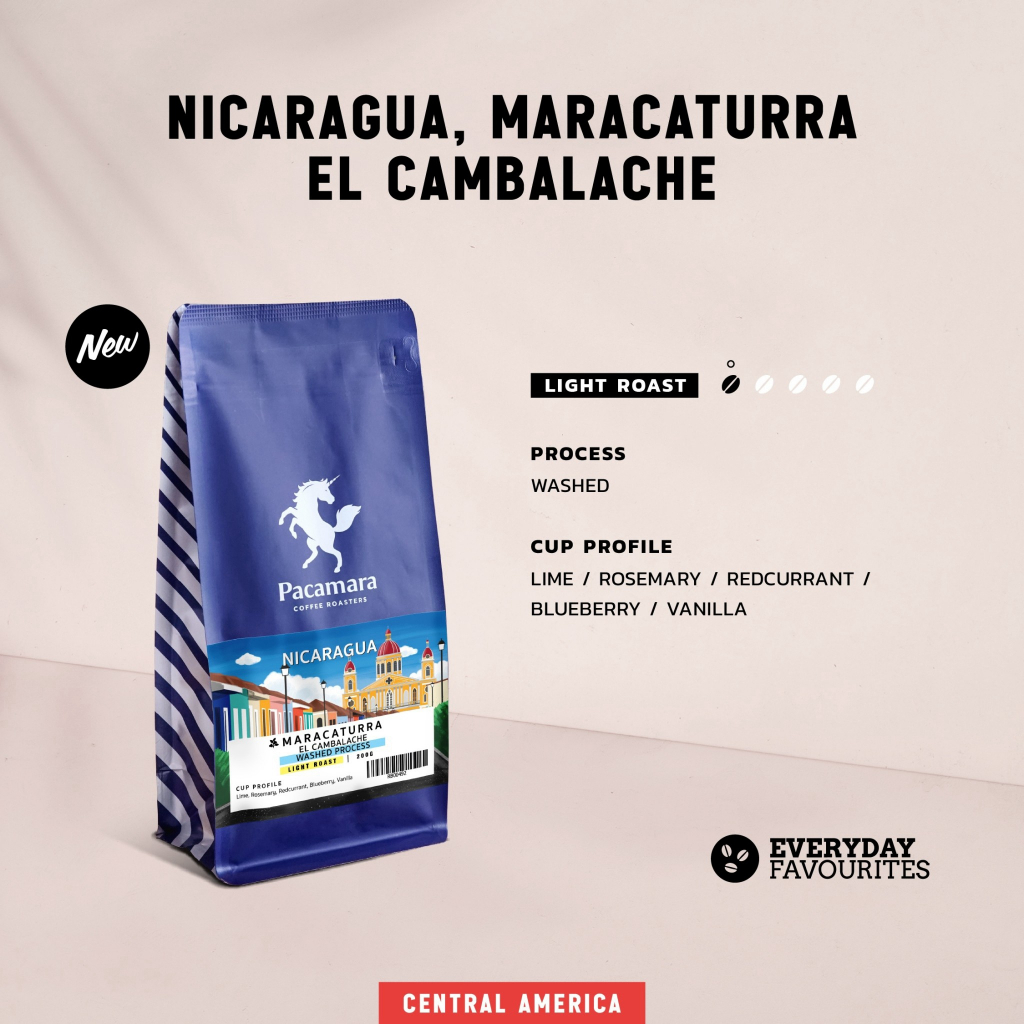 Nicaragua El Cambalache Wash 200g