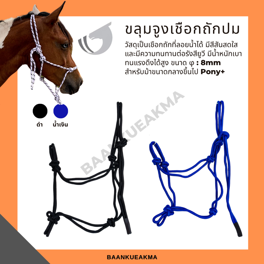 ขลุมจูงม้าแบบเชือกถักปม Knotted Halter เหมาะสำหรับมาขนาดกลาง (ประมาณ 140 ซม.) ขึ้นไป