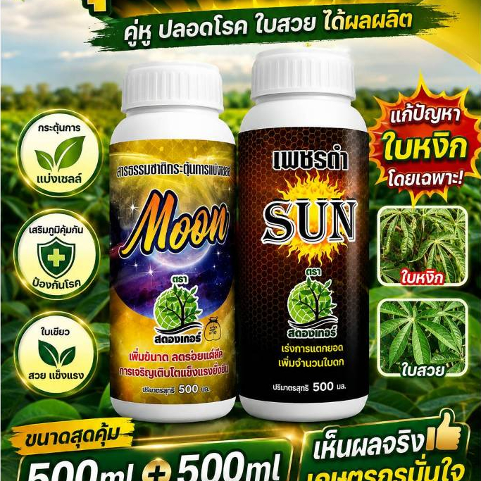 (1ชุด) เพชรดำ ป้องกันมันใบหงิก มันปลอดโรคและแมลง ดูแลมันสำปะหลังตั้งงแต่อนุบาลจนถึงเก็บเกี่ยว เร่งแตกราก ใบเขียวเข้ม