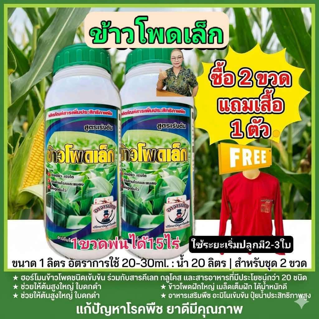 ฮอร์โมนข้าวโพด ข้าวโพดเล็ก สูตรเร่งต้น เร่งโต ต้นใหญ่ ใบหนา