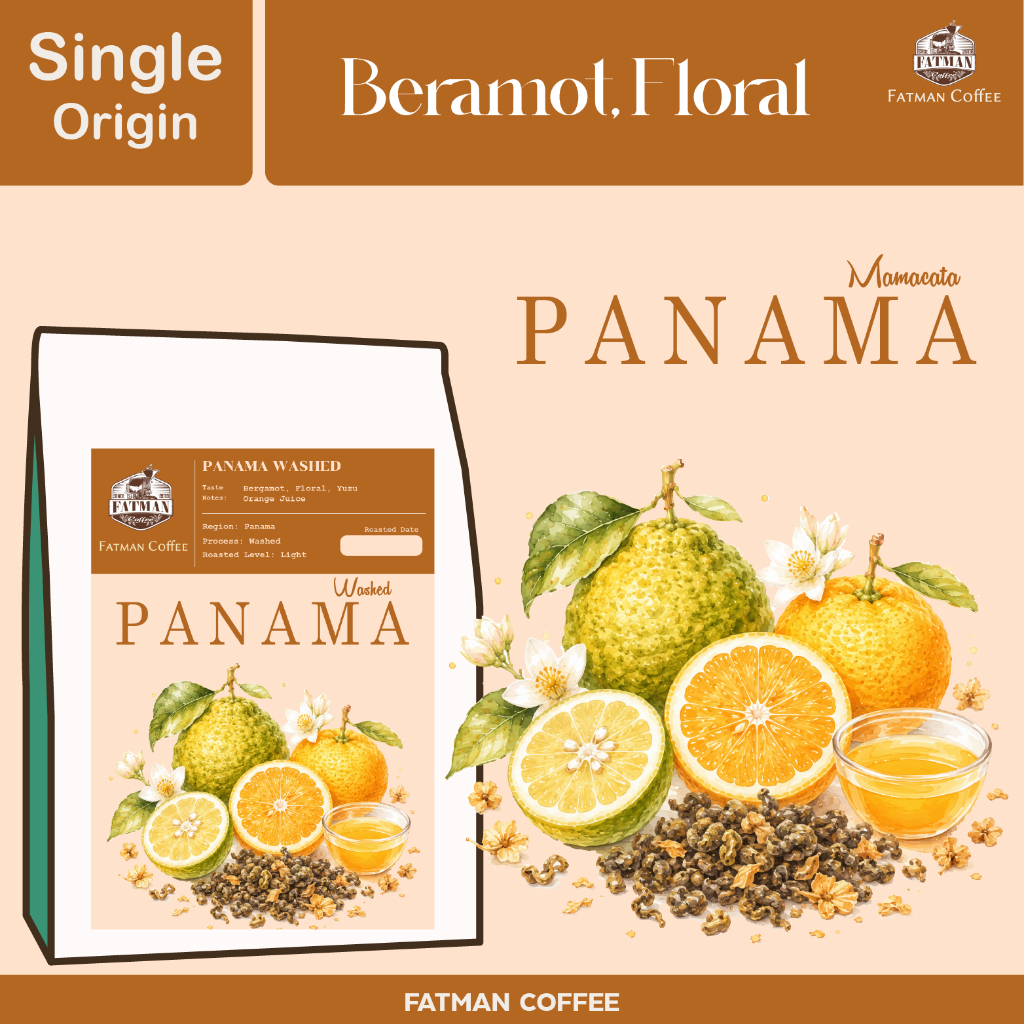 เมล็ดกาแฟ Panama Mamacata มีจำนวนจำกัด