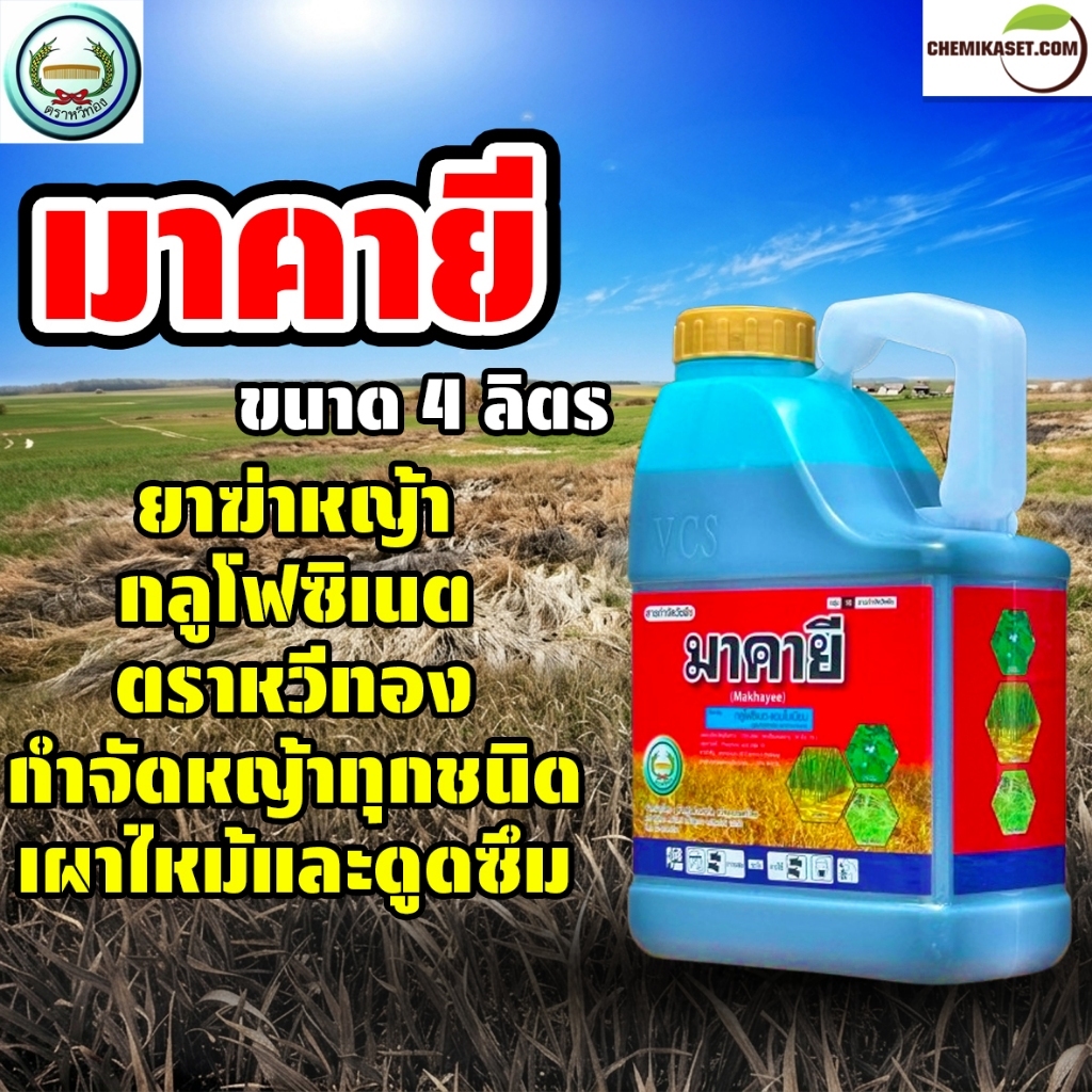 มาคายี กลูโฟซิเนต ตราหวีทอง ขนาด 4 ลิตร ส่งเร็ว พร้อมส่ง
