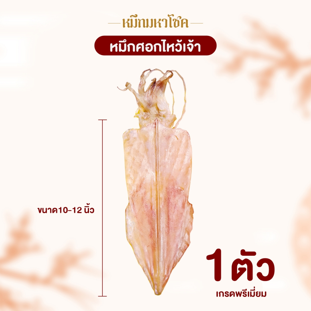 1ตัว ปลาหมึกศอก 11-15นิ้ว ปลาหมึกไหว้เจ้า ปลาหมึกมงคล อาหารทะเลเเปรรูป