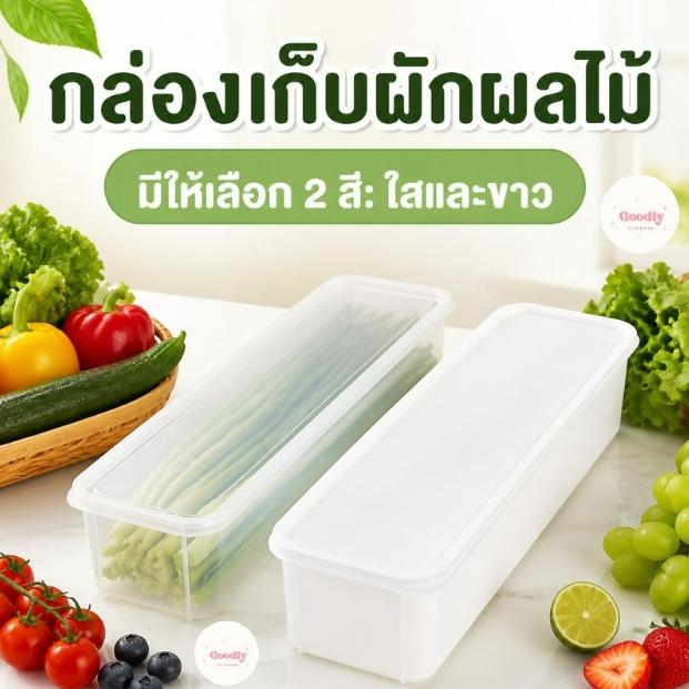 กล่องเก็บผักชี กล่องถนอมผัก ช่วยถนอมให้ผักสดนานกว่าเดิม กล่องปิดผนึกอาหาร เก็บเส้นสปาเก็ตตี้ธัญพืชผักผลไม้ พร้อมฝาปิด