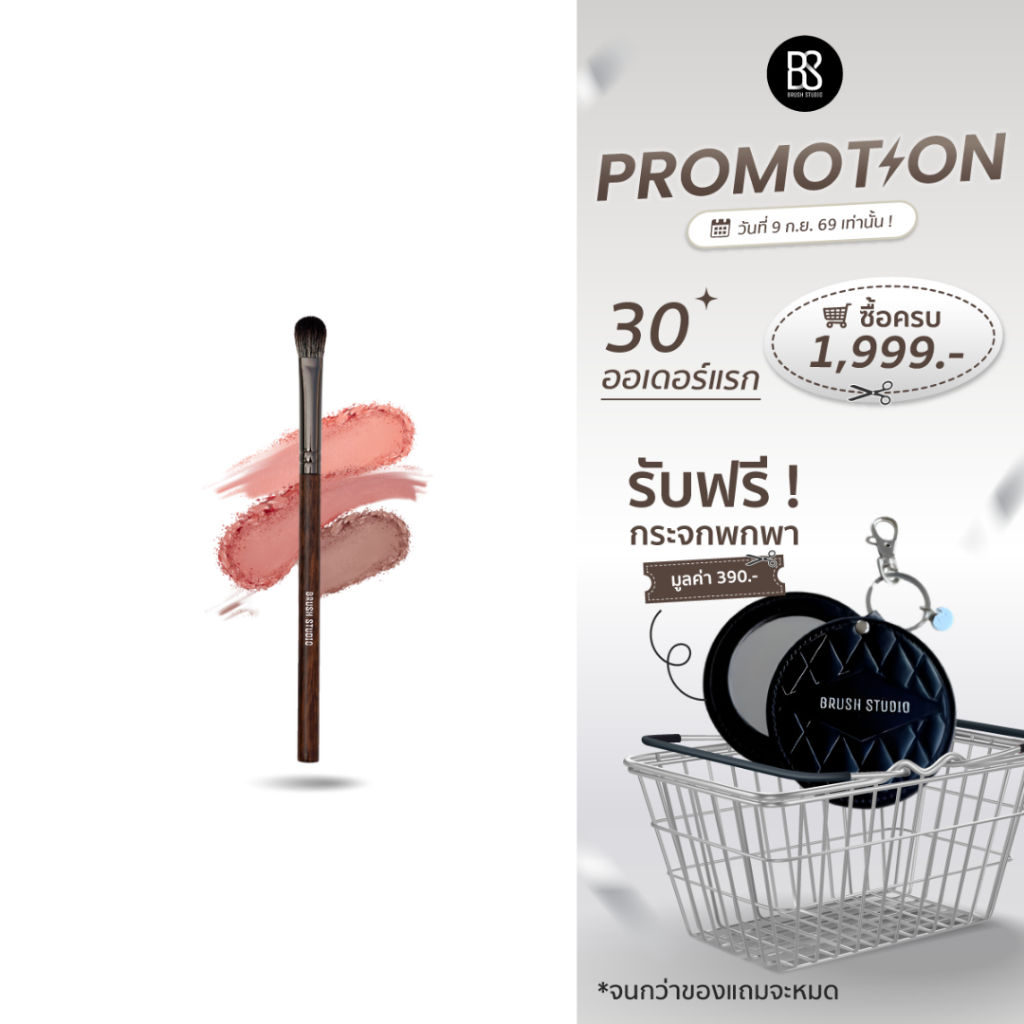 BRUSH STUDIO Tropical Glow : T7 Eyeshadow แปรงอายแชโดว