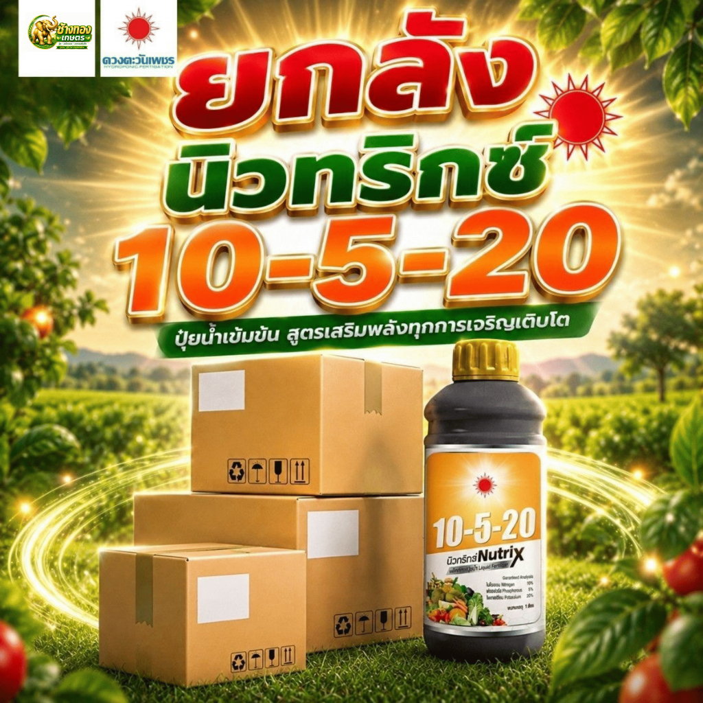 (ยกลัง1L*12) 10-5-20 นิวทริกซ์ 1L (ดวงตะวันเพชร)