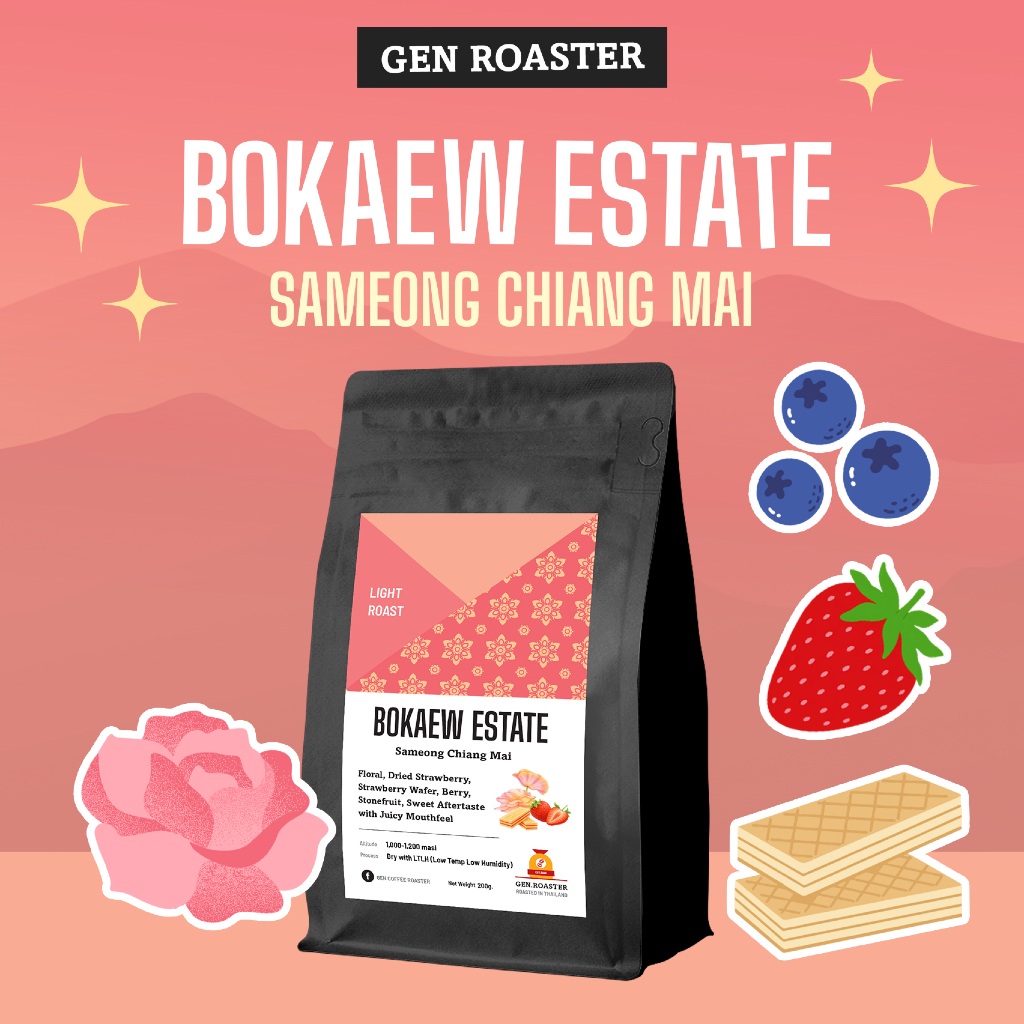 GEN Roaster เมล็ดกาแฟพิเศษคั่วอ่อน บ่อแก้ว อ.สะเมิง Process Dry LTLH ฟลอรัล สตอร์เบอร์รี่ เวเฟอร์ หวานฉ่ำ 200 g.
