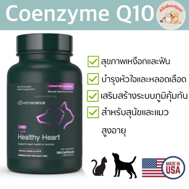 VetriScience Coenzyme Q10 Healthy Heart 10mg 100 แคปซูล สำหรับสุนัขและแมว นำเข้าจากอเมริกา