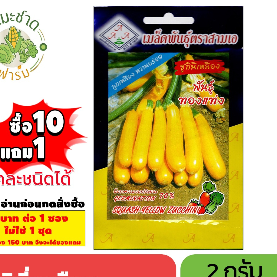 [1ซอง] 3A (ซื้อ10แถม1) เมล็ดพันธุ์ ซูกินีเหลือง ขนาด2กรัม ประมาณ10เมล็ด SQUASH-YELLOW ZUCCHINI ซูกีนี่ แตง ซูกินี ซูกินี