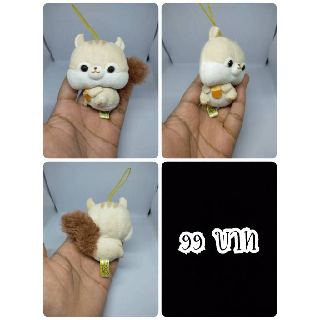 Squirrel#Fusappo Nuts#กระรอก#Fusappo Nuts Squirrel Favourite Food#Amuse#งานพวงญี่ปุ่นมือสอง