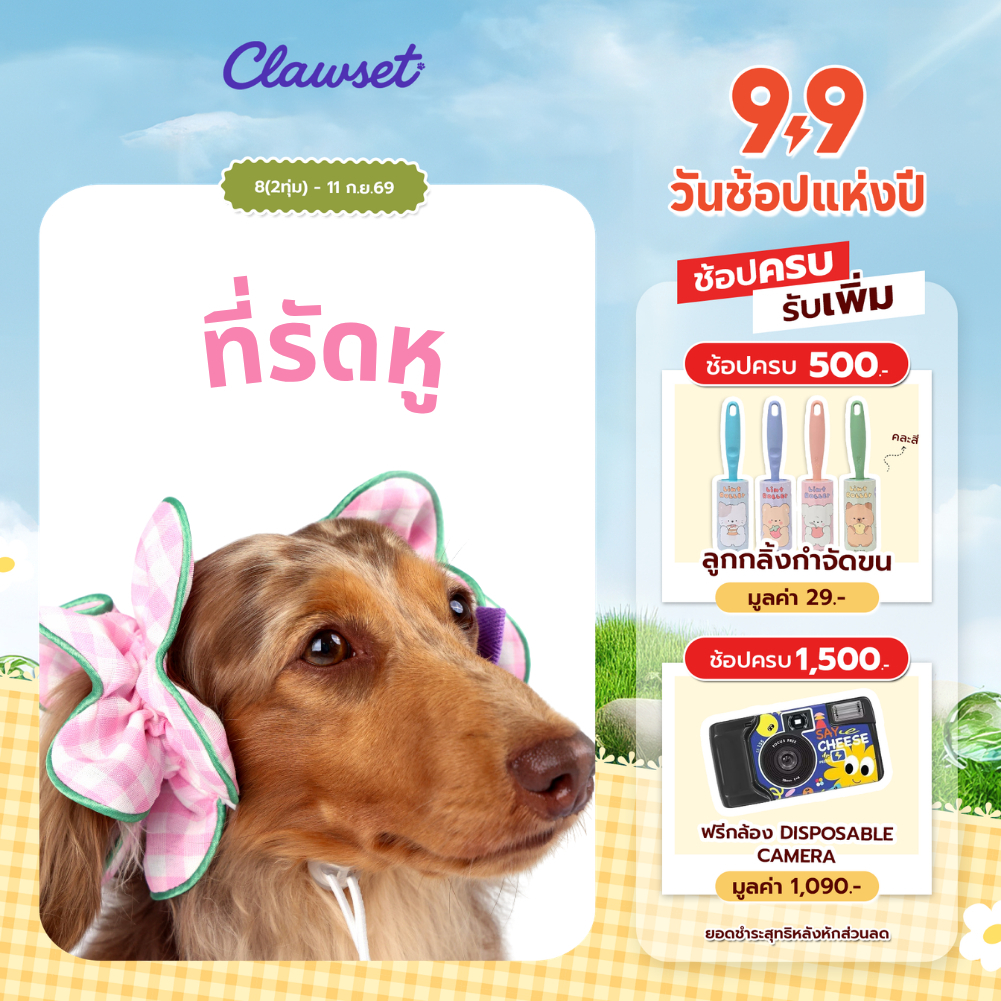 ยางรัดหูสำหรับสัตว์เลี้ยง Flower Scrunchies - Picnic Bloom Collection
