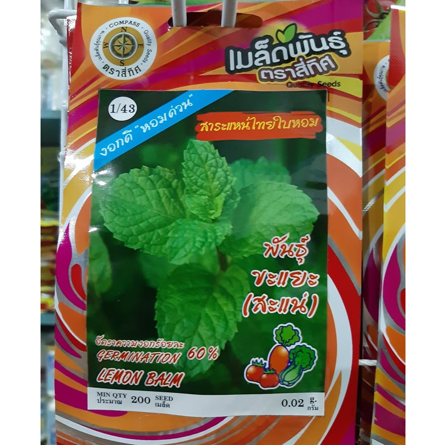 เมล็ดสาระแหน่ สาระแหน่ไทยใบหอม พันธุ์ ขะแยะ(สะแน่) 10 แถม 1 คละได้ เมล็ดผัก เมล็ดพันธุ์ ตรา สี่ทิศ 4ทิศ​ สะระแหน่