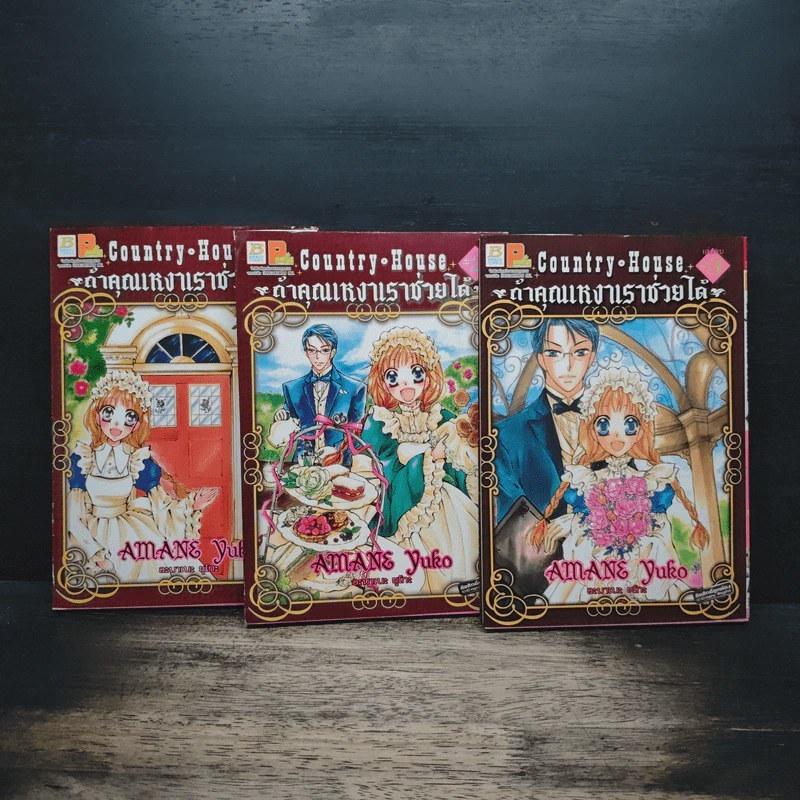 Country House ถ้าคุณเหงาเราช่วยได้ 3 เล่มจบ - Amane Yuko 🏷️ 1187529 [T1]