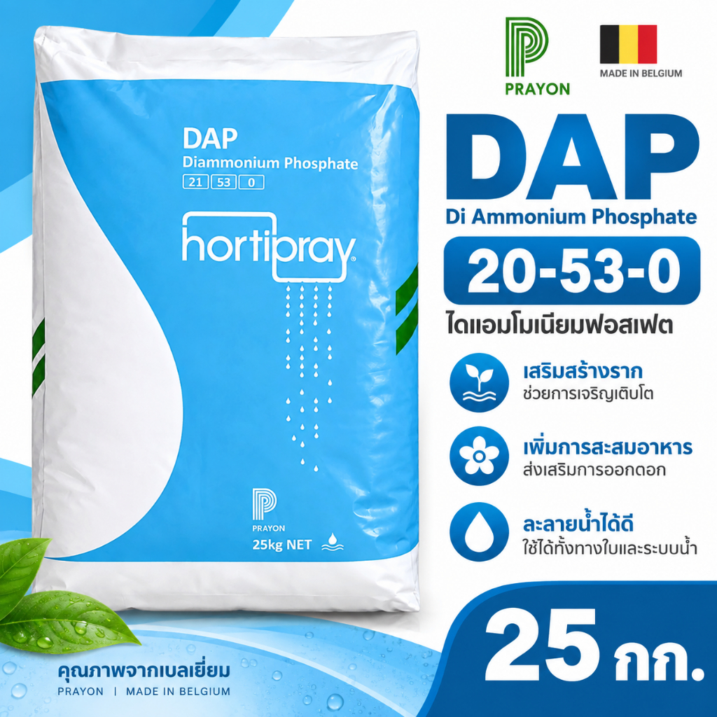 🌿 DAP Di-Ammonium Phosphate 20-53-0 ปุ๋ยไดแอมโมเนียมฟอสเฟต PRAYON เบลเยียม บรรจุ 25 กิโลกรัม