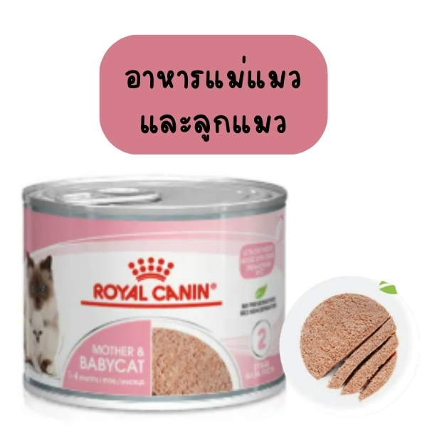 อาหารเปียกแมว Royal Canin Mother & Babycat มูสนุ่มทานง่าย 195g