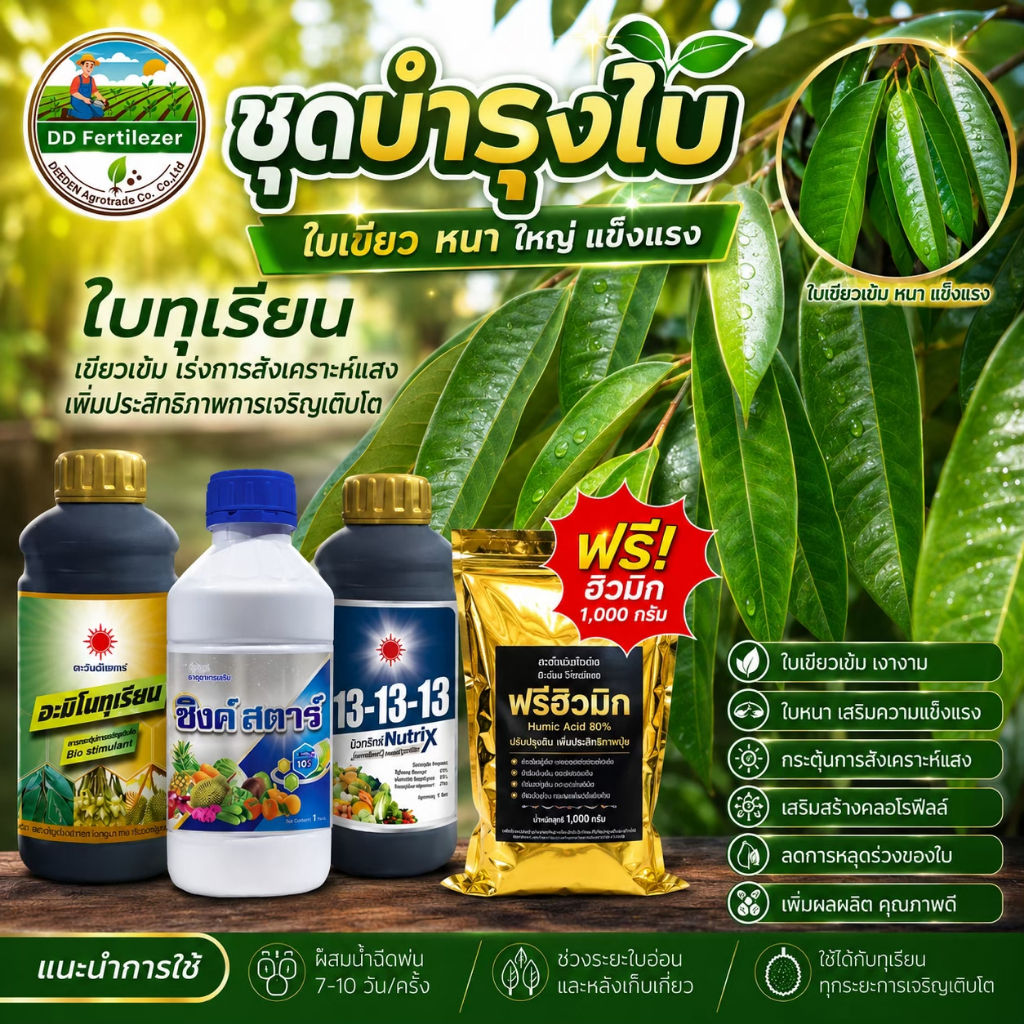 #ชุดบำรุงใบ ขยายขนาดใบ ทำใบชุดที่ 2-3 ( อะมิโนทุเรียน+ซิ้งค์สตาร์+13-13-13+แถม แบล็กเอิร์ท ) #ดวงตะวันเพชร #ชุดบำรุงใบ